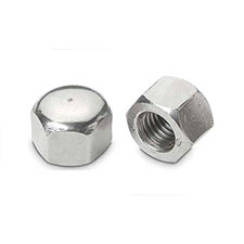 Hex Cap Nut Manufacturer